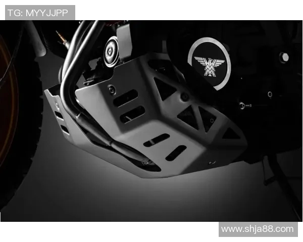 足球明星卡的价值揭秘为何一些卡片能够卖出天价